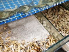 -蟹谢蒸鲜自助餐厅