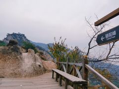 -大岭沟猕猴桃谷风景区