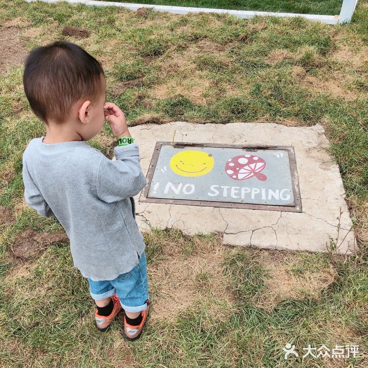 网红打卡地值得去吗之卷云牧场