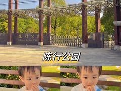 -陈行公园