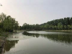 -东郊湿地公园
