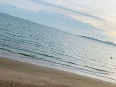 -卷心菜和避孕套餐厅(Pattaya)