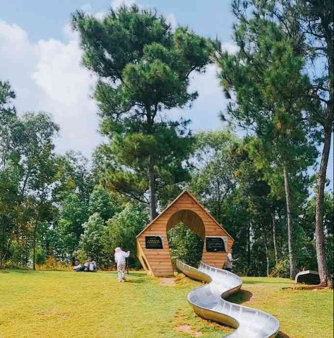 花语湖-"是镇上环境最好的餐厅,我这么说应该没人有."-大众点评移动版