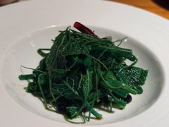 木姜子油拌苗菜-庆春朴门