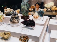 -湖南省地质博物馆