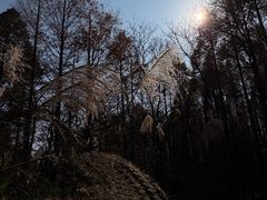 -山王坪喀斯特国家生态公园