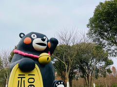 -上海海湾国家森林公园