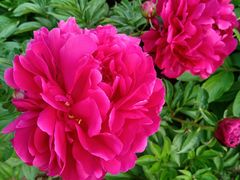 -长春公园(普阳街道)