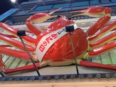 -蟹道乐(道顿堀本店)