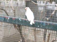 -北京市海淀外国语实验学校