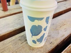 幽幽乌龙-唐沫茶兮(仓山万达金街店)