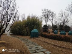 -燕郊植物园