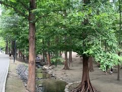 -白水寺森林公园