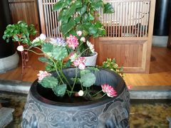 -寻钵记民菜馆·正宗常德钵子菜(滨湖路店)