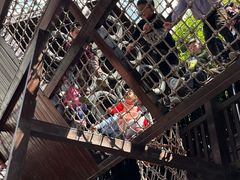 -中国福利会少年宫