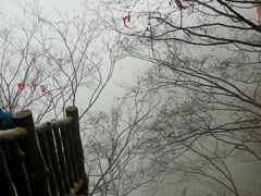 -塔云山