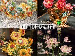 -淄博花灯齐彩城