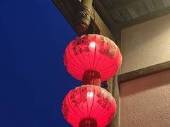 -三圣花乡旅游区