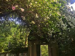 -深圳国际园林花卉博览园