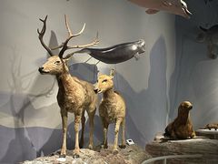 -中国湿地博物馆