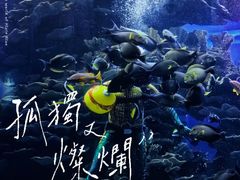 -泉城欧乐堡海洋极地世界