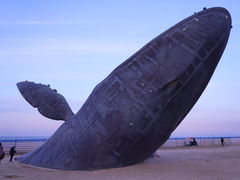 -烟台金沙滩海滨公园