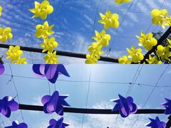 -金谷域澳洲庄园