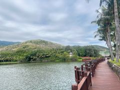 -三亚亚龙湾金棕榈度假酒店