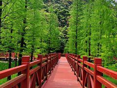 -广州市石门国家森林公园