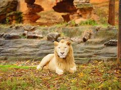 -杭州野生动物世界