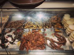 -老号尤兔头(幸福店)