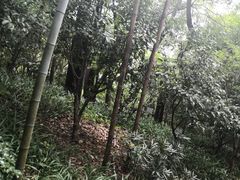 -纯K(西湖店)
