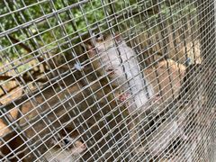 -梦幻奥陶纪景区