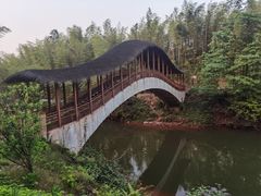 -蜀南竹海景区