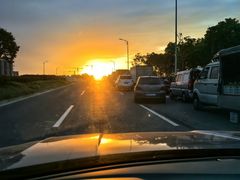 -春花秋色城市公园