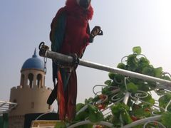 -辛玛王国游乐园