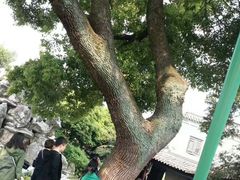-口岸雕花楼