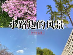 -西南交通大学(九里校区)