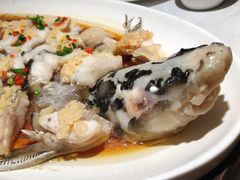 姜蓉深水鱼钩鱼-小厨娘淮扬菜(清江苏宁广场店)