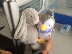 -PAWTOY爪e玩偶店(天兴罗斯福店)