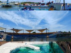 -秦皇岛乐岛海洋王国