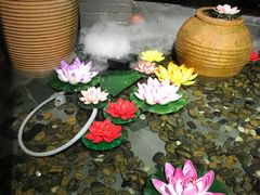 -龙门烤鱼(东方宝泰店)