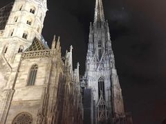 -斯蒂芬主教座堂(Stephansdom)