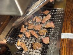 -柿子树炭烤羊腿(金台路店)