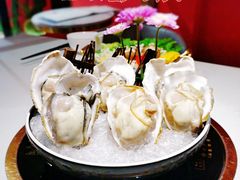 生蚝六只-川越泰火锅(吉利大厦店)