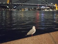 -悉尼海港大桥