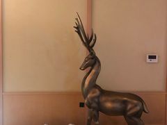 -蓝鲸湾汤泉(包河店)