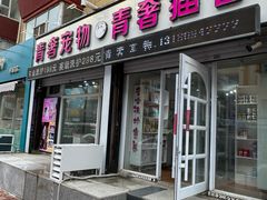 -青奢宠物·青奢猫舍