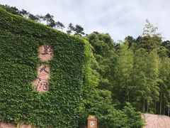 -蛇蟠岛