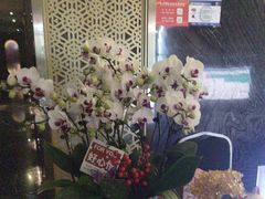 -润和养生·影音足道·按摩SPA(虹梅路店)